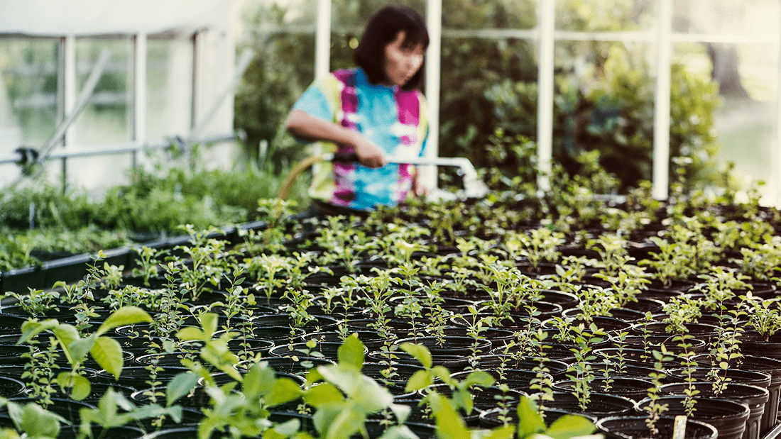 Farm Greenacres Foundation