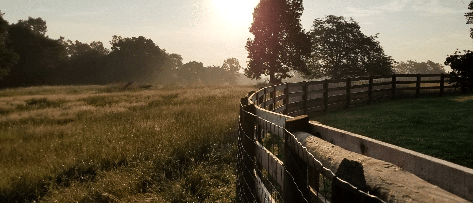 morning_on_the_farm-min