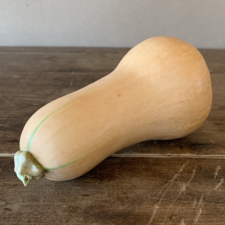 Butternut