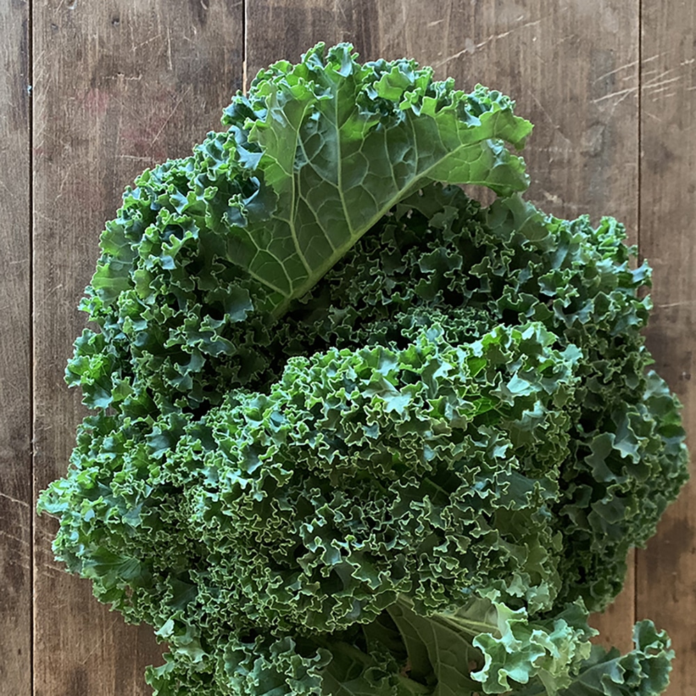 CurlyKale