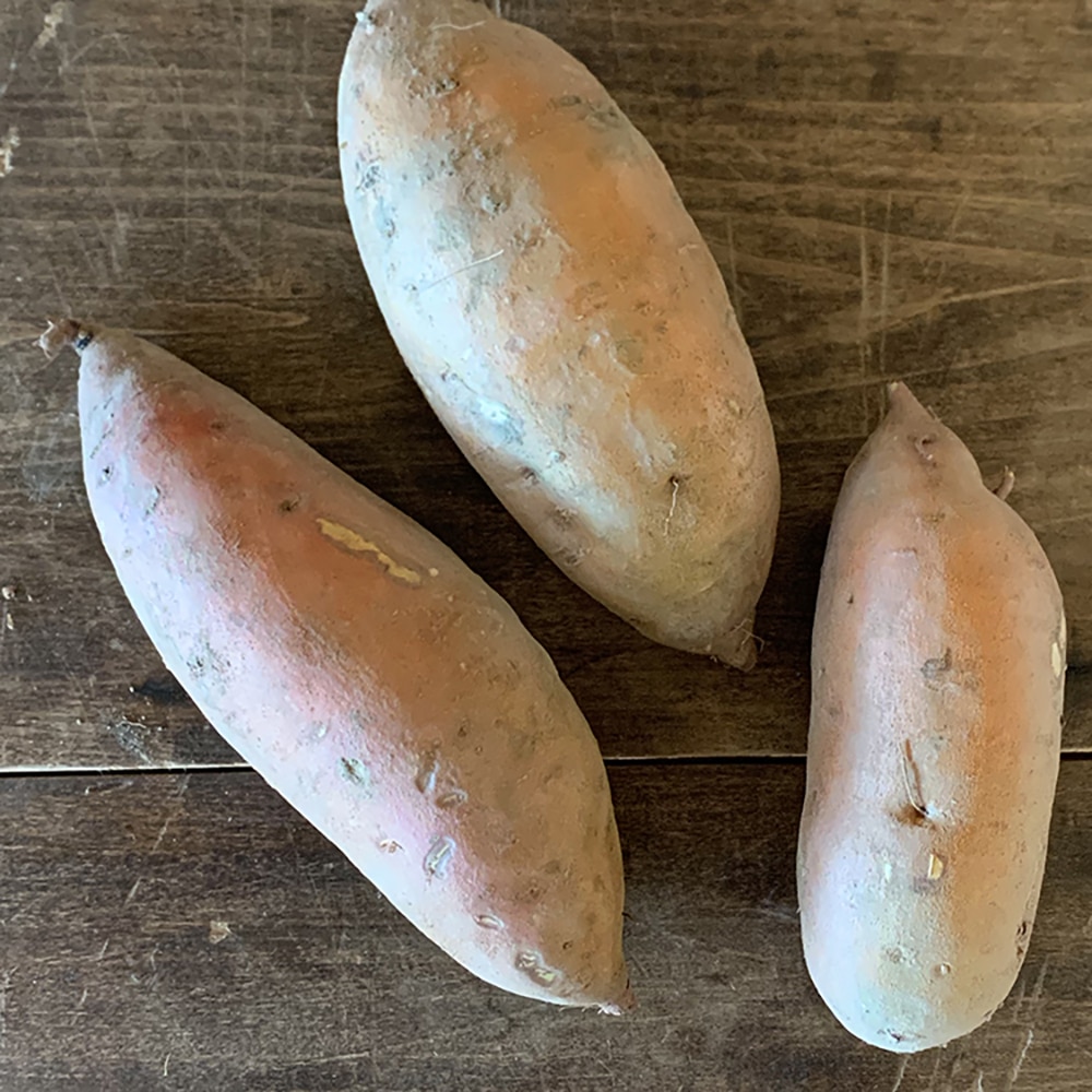 SweetPotato