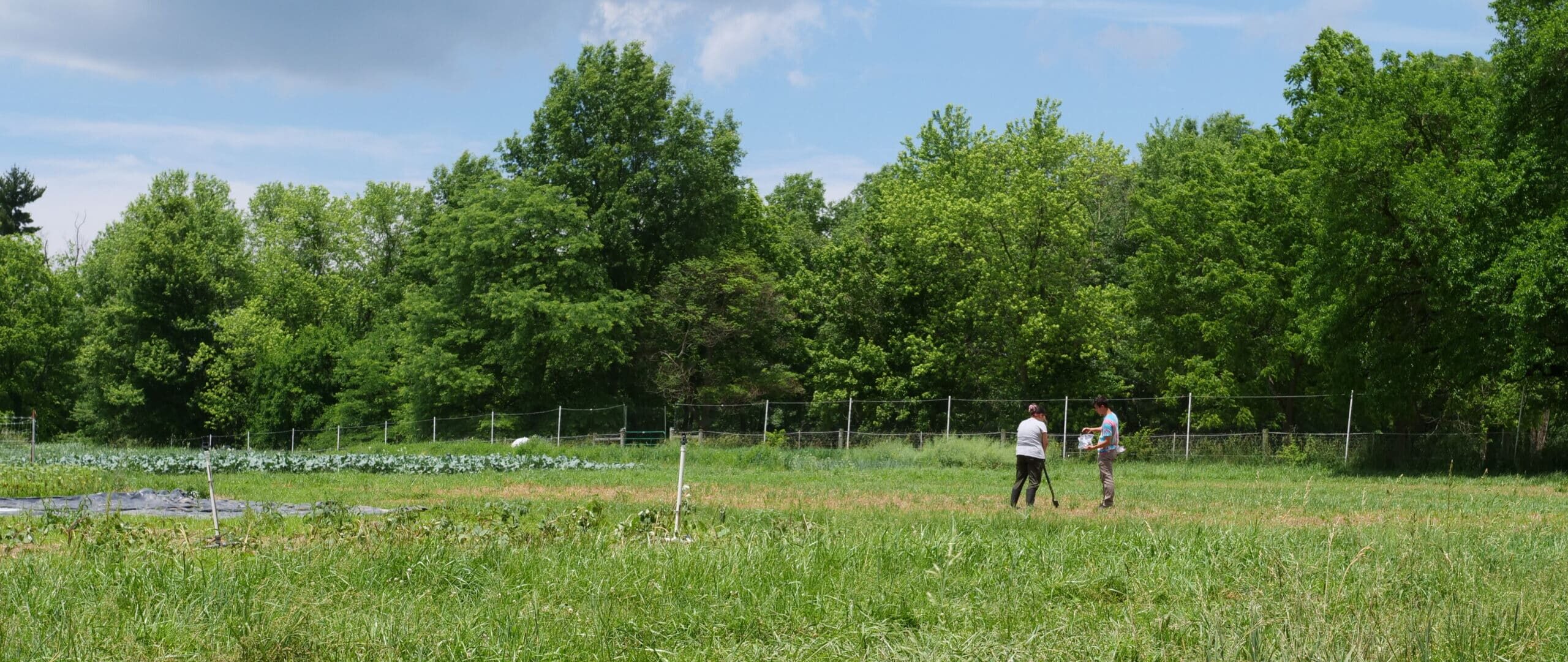 research grants agriculture