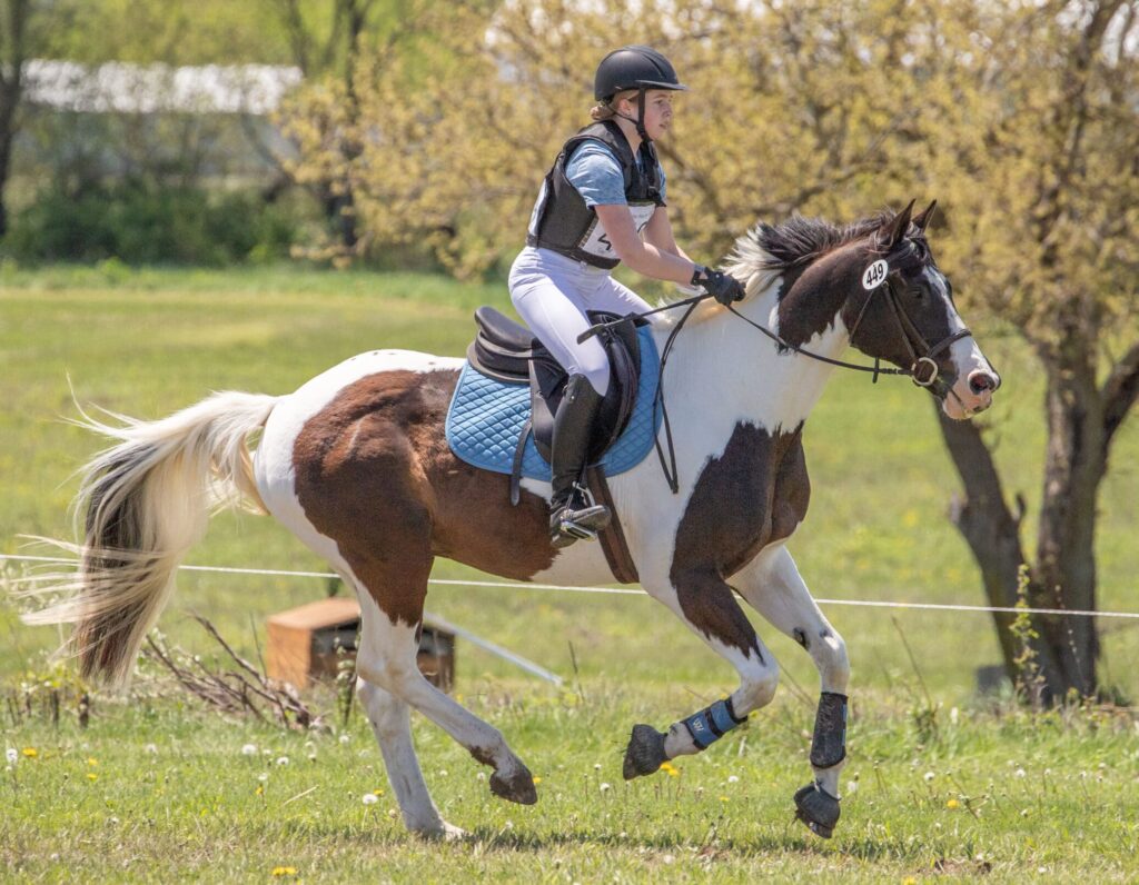 Horse cantering through pasture with rider at competition