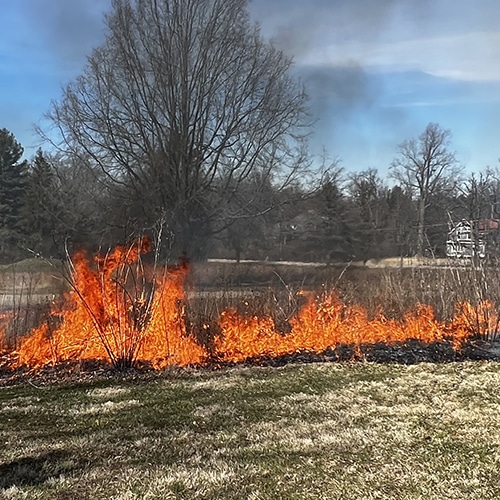 During Burn 1_500x500