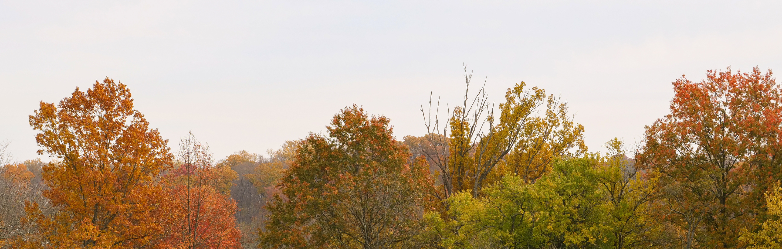 Newsletter Hero Image (9)